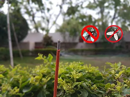 Relax Natural Mosquito Repellent Camphor and Lemon Grass Incense Sticks -120 Piece