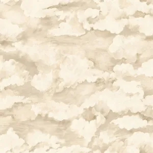 Sora Cloud Wallpaper